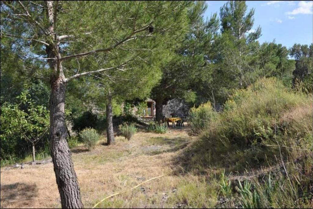 Charmant Mas Tout Equipe En Pleine Nature Catalane Cases-de-Pene Εξωτερικό φωτογραφία